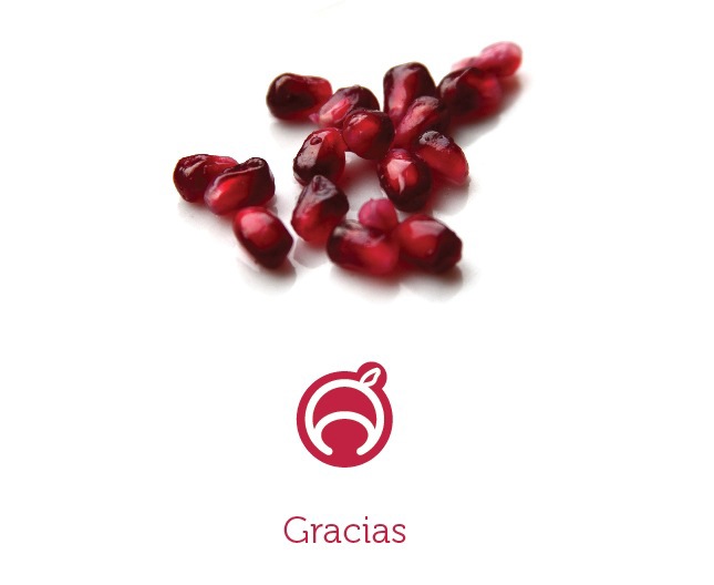 arilos pomegranate granada berries Logotipo  logo  brand  Mexico  jalisco   red organic marca  Stationary Alimentos Food 