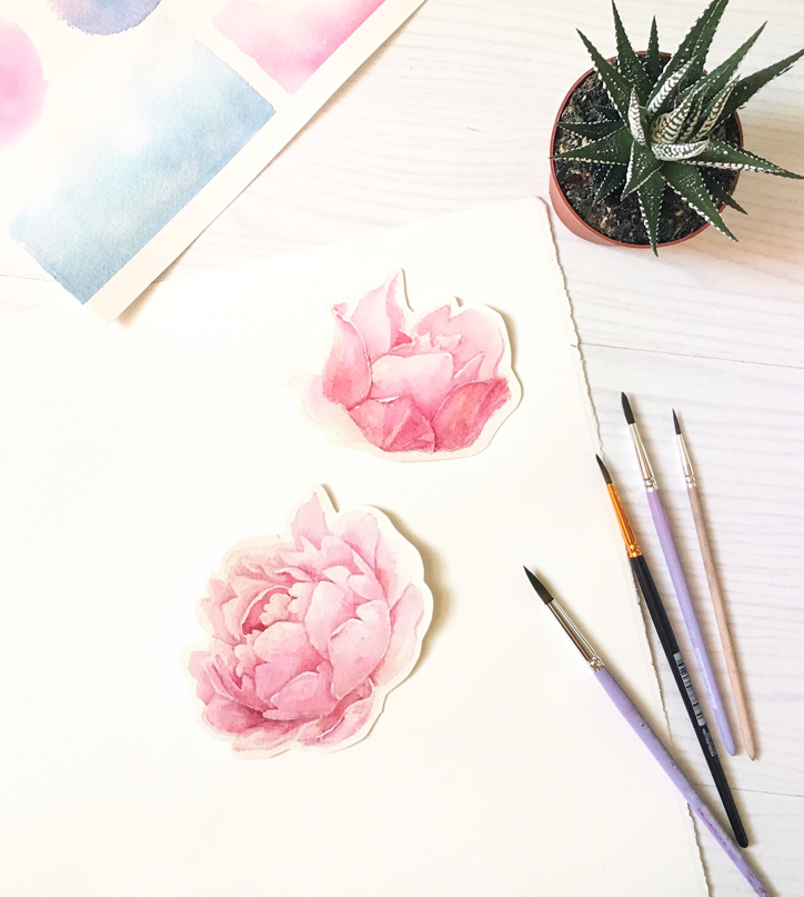 watercolor clipart peonies flowers floral elements botanical feather watercolor anemone flower Succulent