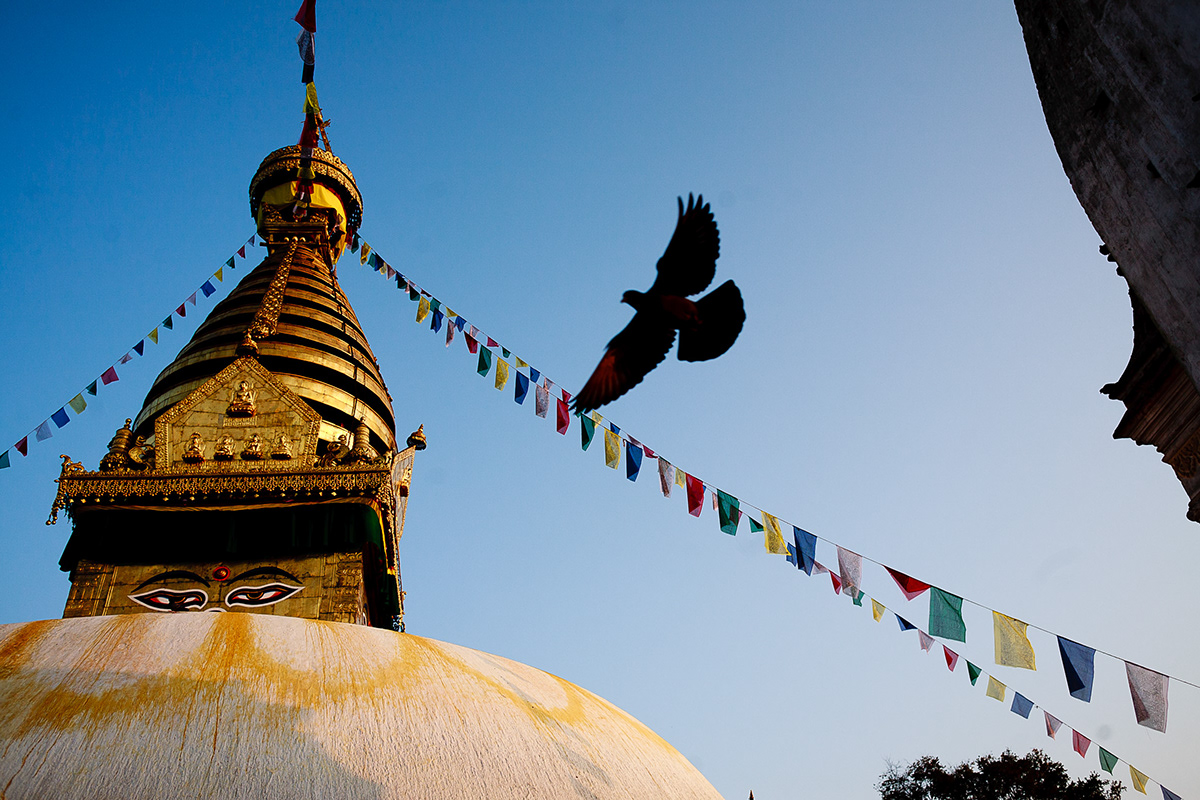 nepal kathmandu Travel photo temple