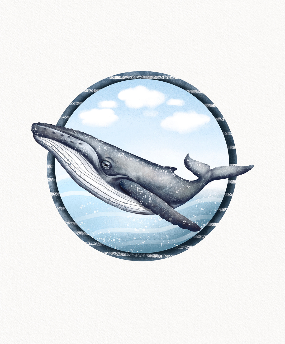 animals bluewhale children fish illustrations Nature Ocean sea water Whale
