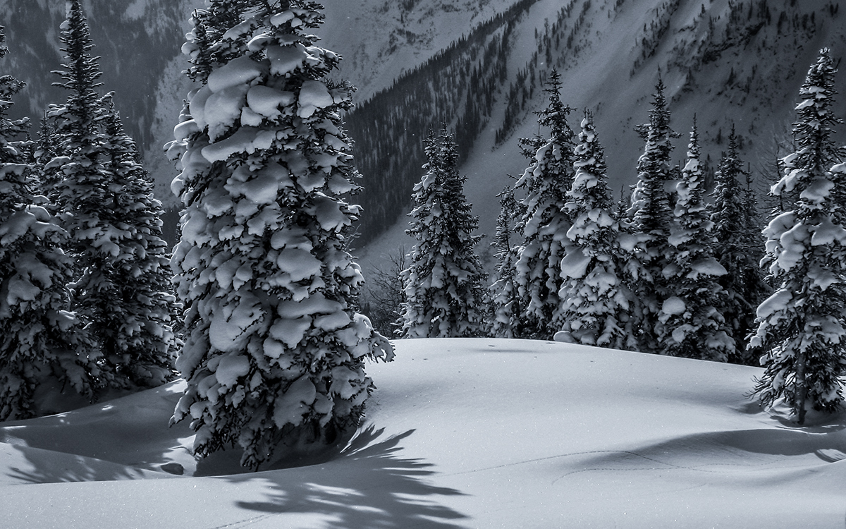 black and white Landscape black & white aspen Colorado snow winter Canada Banff mountains silver efex pro Nik Software snowmass scenic
