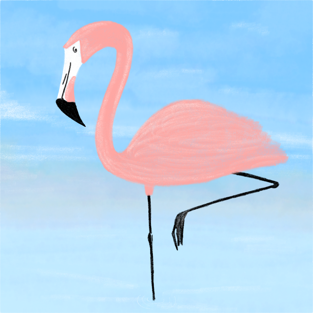 Flamingo Standing on one leg