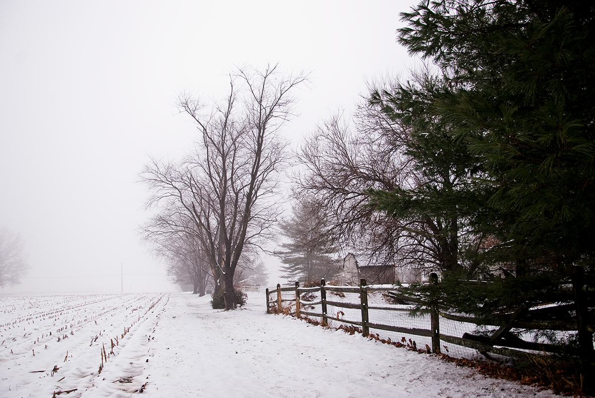 house snow trees Nature fog Stillness Still winter Pennsylvania