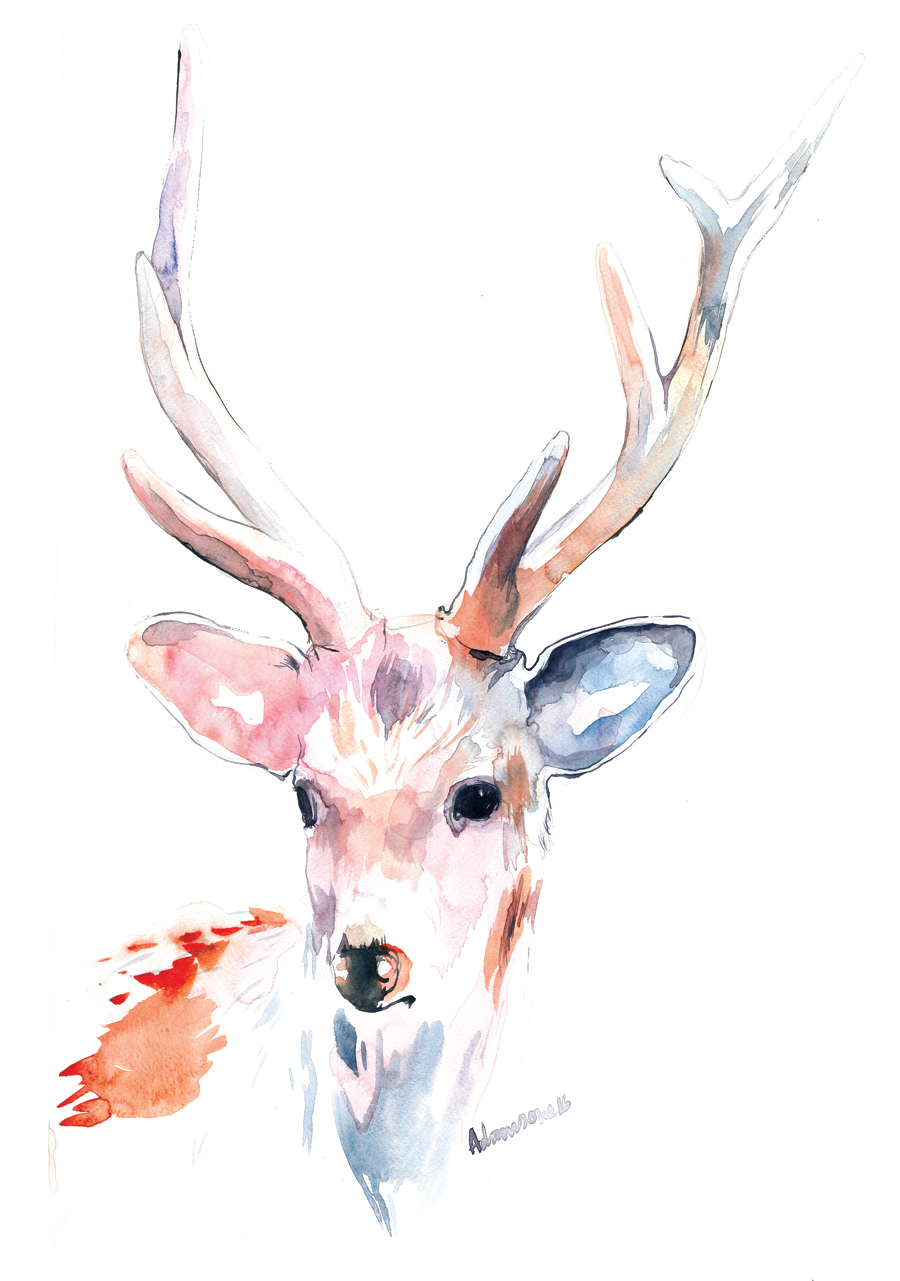 Woodland animals - watercolor paintings on Behance