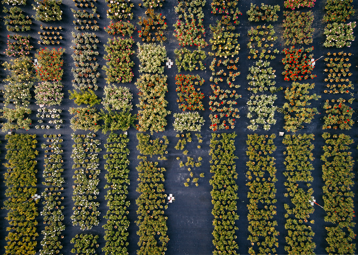 Aerial drone quadrocopter Perspective Nature gardening aerial phtography abstract adobeawards