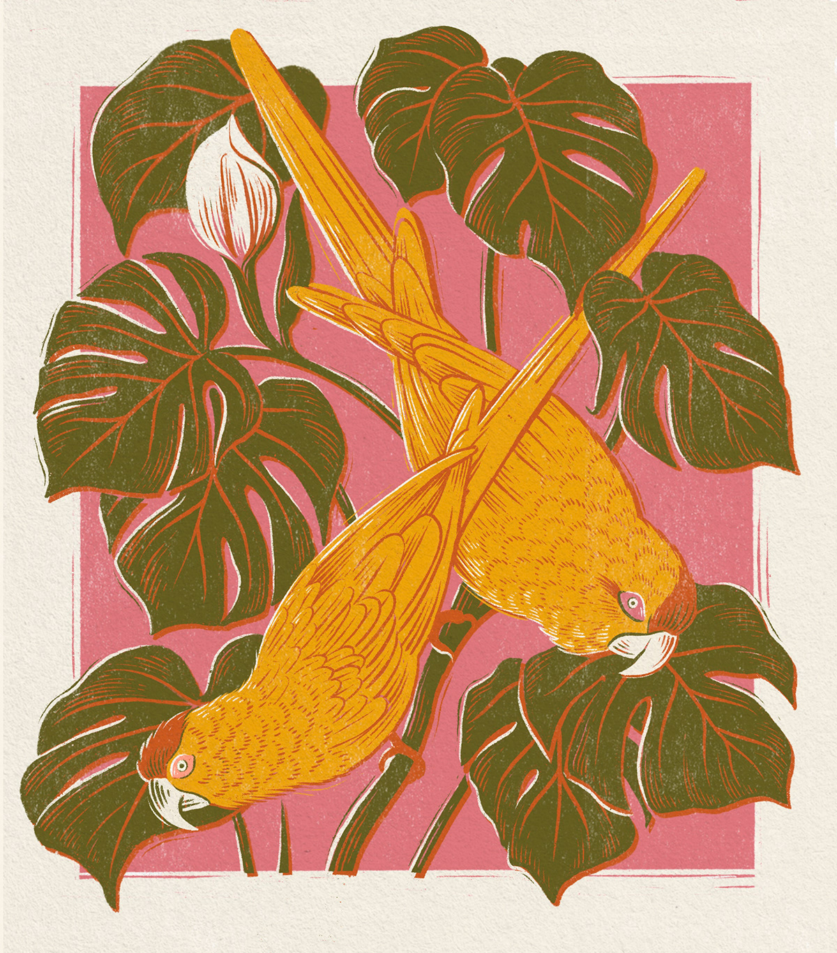 bird botanical ILLUSTRATION  linework palm leaf parrot print Tropical vintage