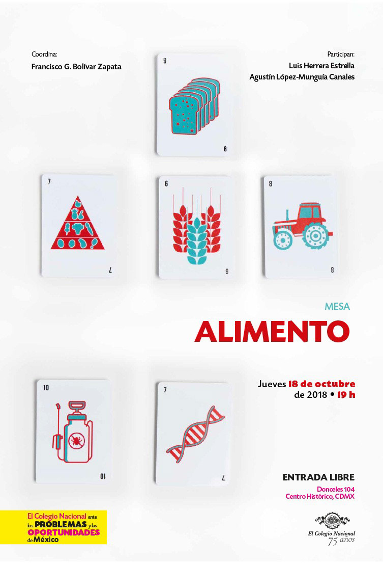 carteles diseño de cartel serie de carteles Diseño editorial identidad gráfica Identidad institucional