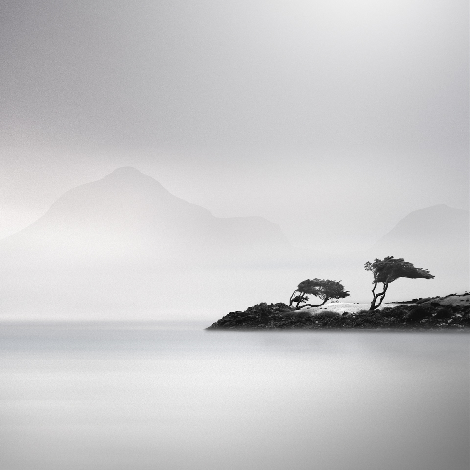 trees black and white fine art long exposure Photography  Landscape