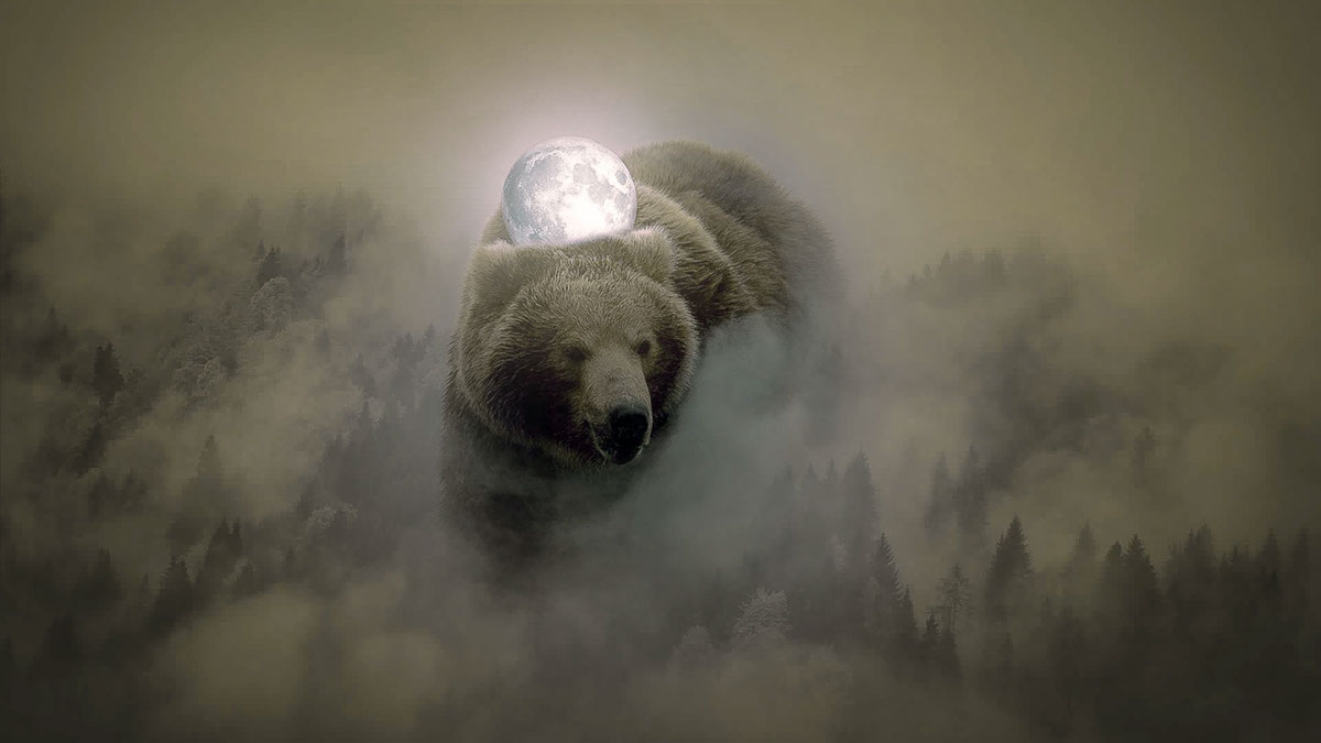 #bear #graphic #Wild #forrest #moon  