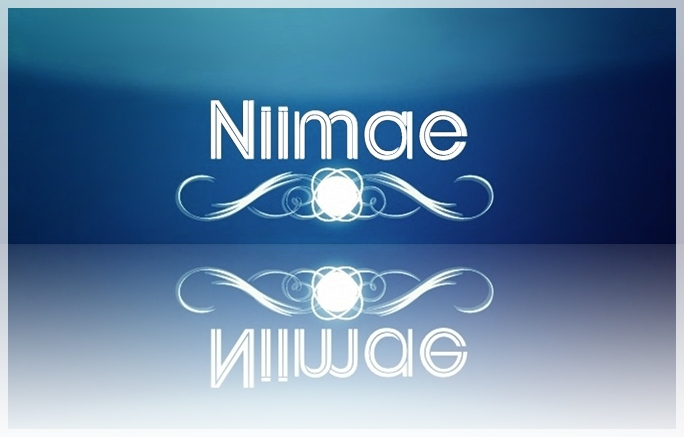 Niimae  web development  web design  graphic design