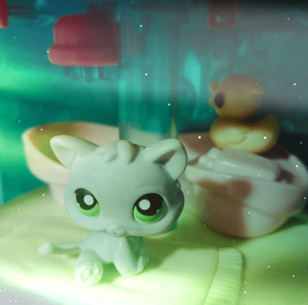 aurora cute house Littlest Pet Shop visual arts 