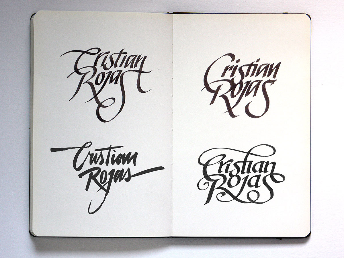 lettering  tipografia  brand  caligrafia  marcas   logomarcas  logotipos handwritten calligraphic logo  Calligraphy Logo brush best logo collection script logo Custom