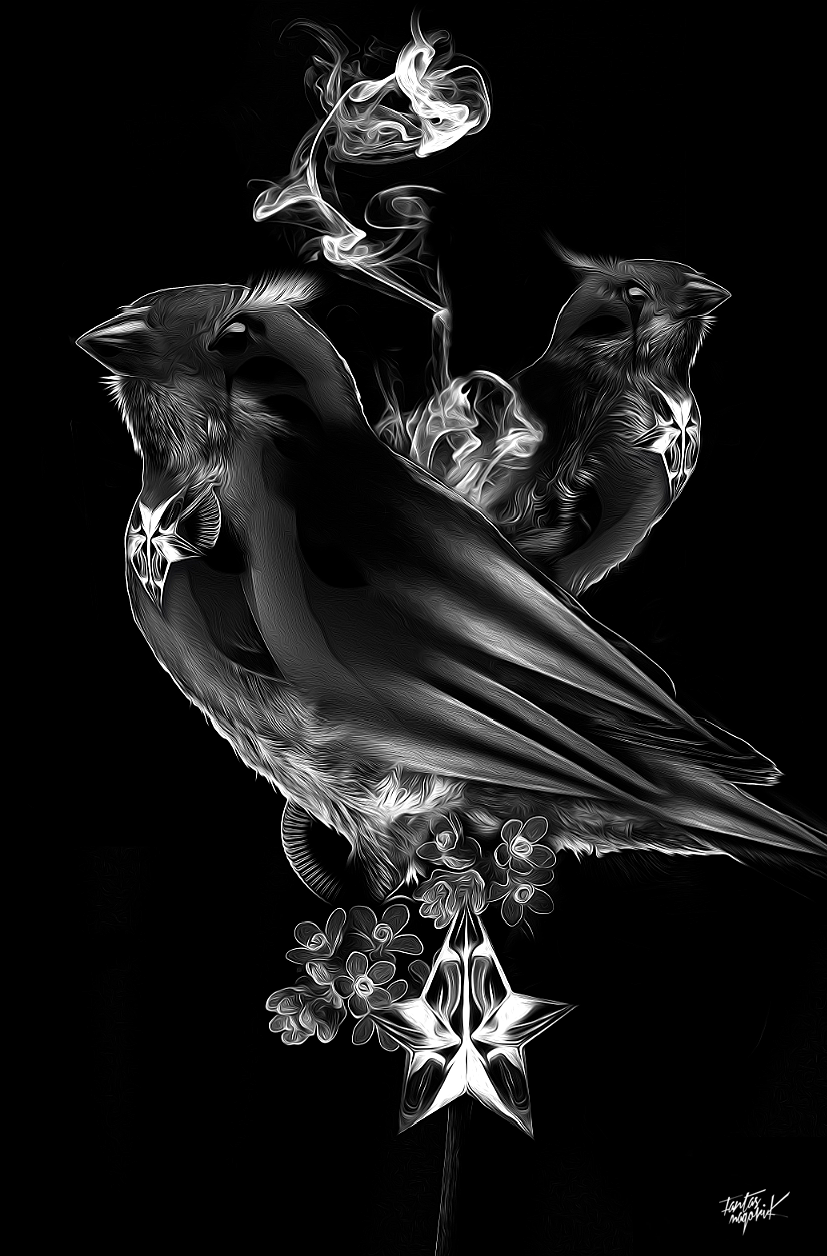 nicolas obery twitter dark black bird fantastic fantasmagorik curioos