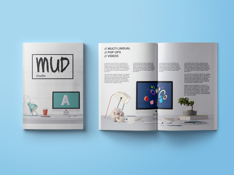 brochure design graphic editorial modern elegant