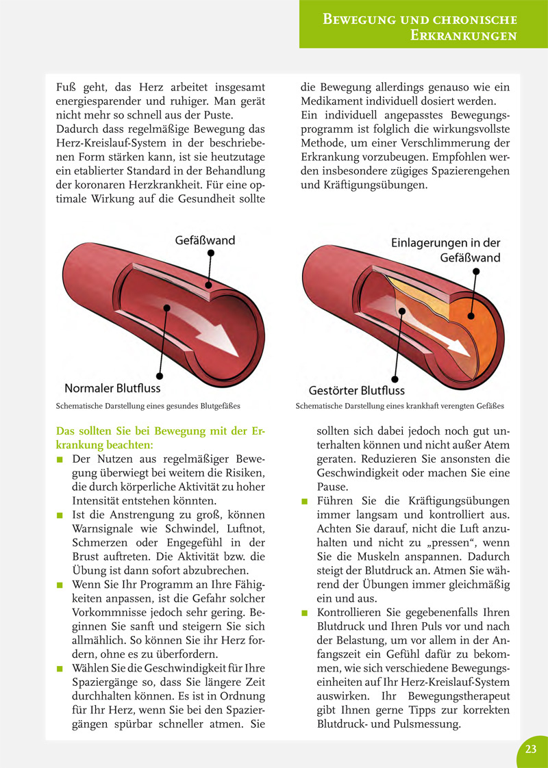 Adobe Portfolio anatomy medicine Health sports research
