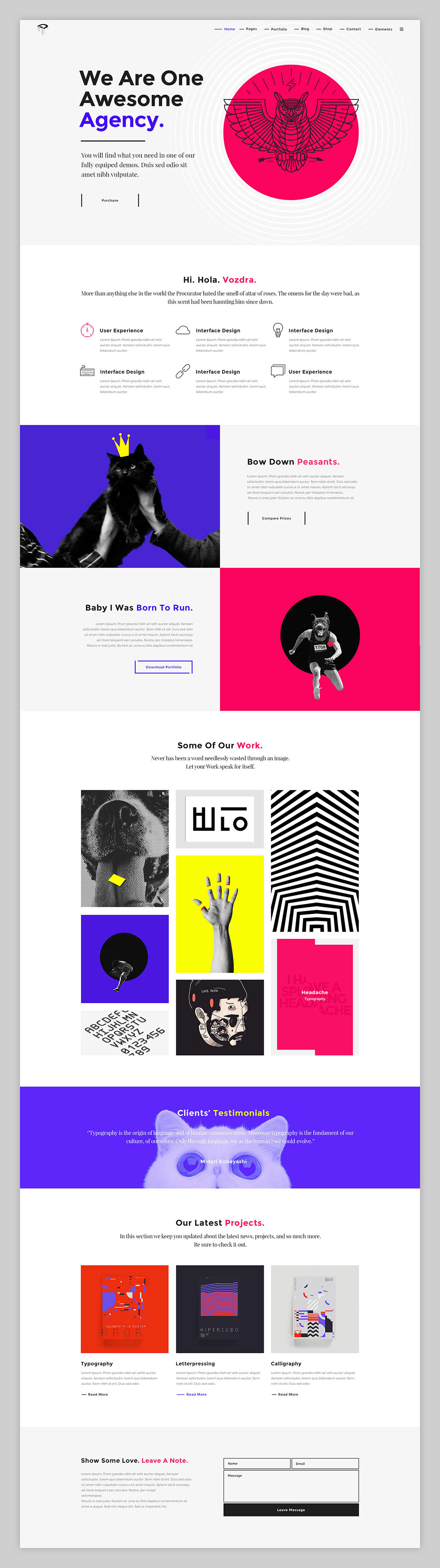 Web Theme template dieter funky portfolio UI ux flat color