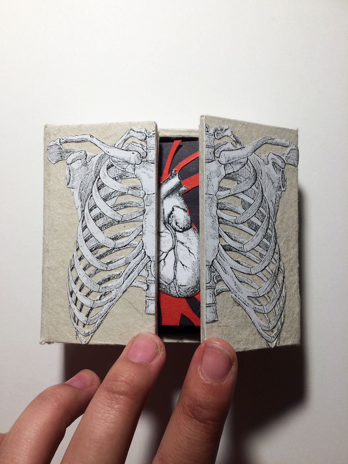 annalisa sheldahl fall 2015 artist book Flitter book heart rib cage