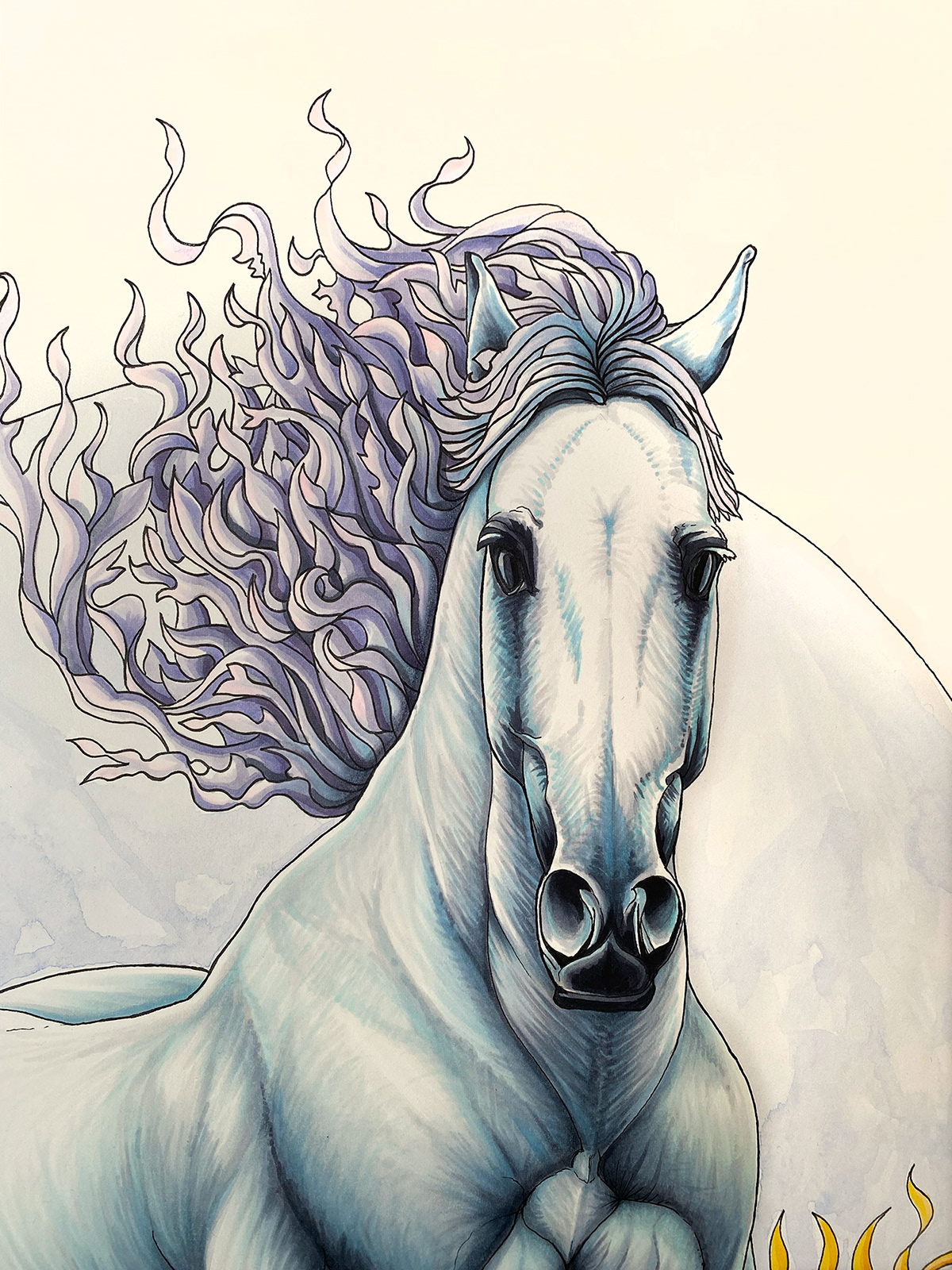 Drawing  horse animal artwork sketch artist painting   ILLUSTRATION 