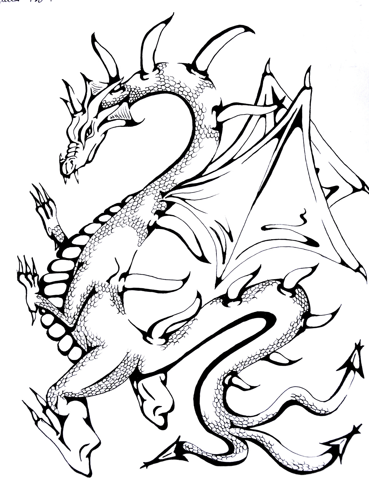 dragon dragons black and white black & white graphic Marker sharpie Fantastic Mechanics christina izzo  izzo FM fantasy