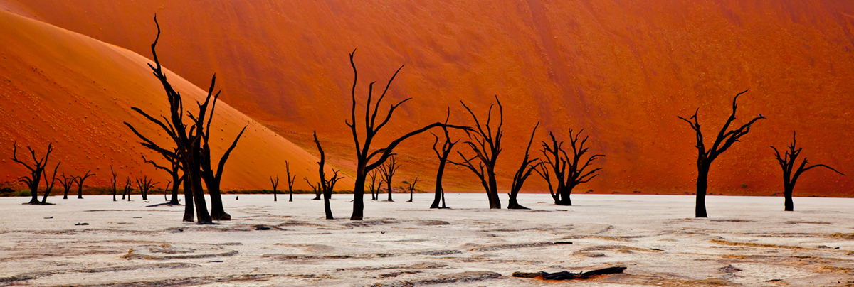 Namibia sossusvlei red sand dunes Landscape