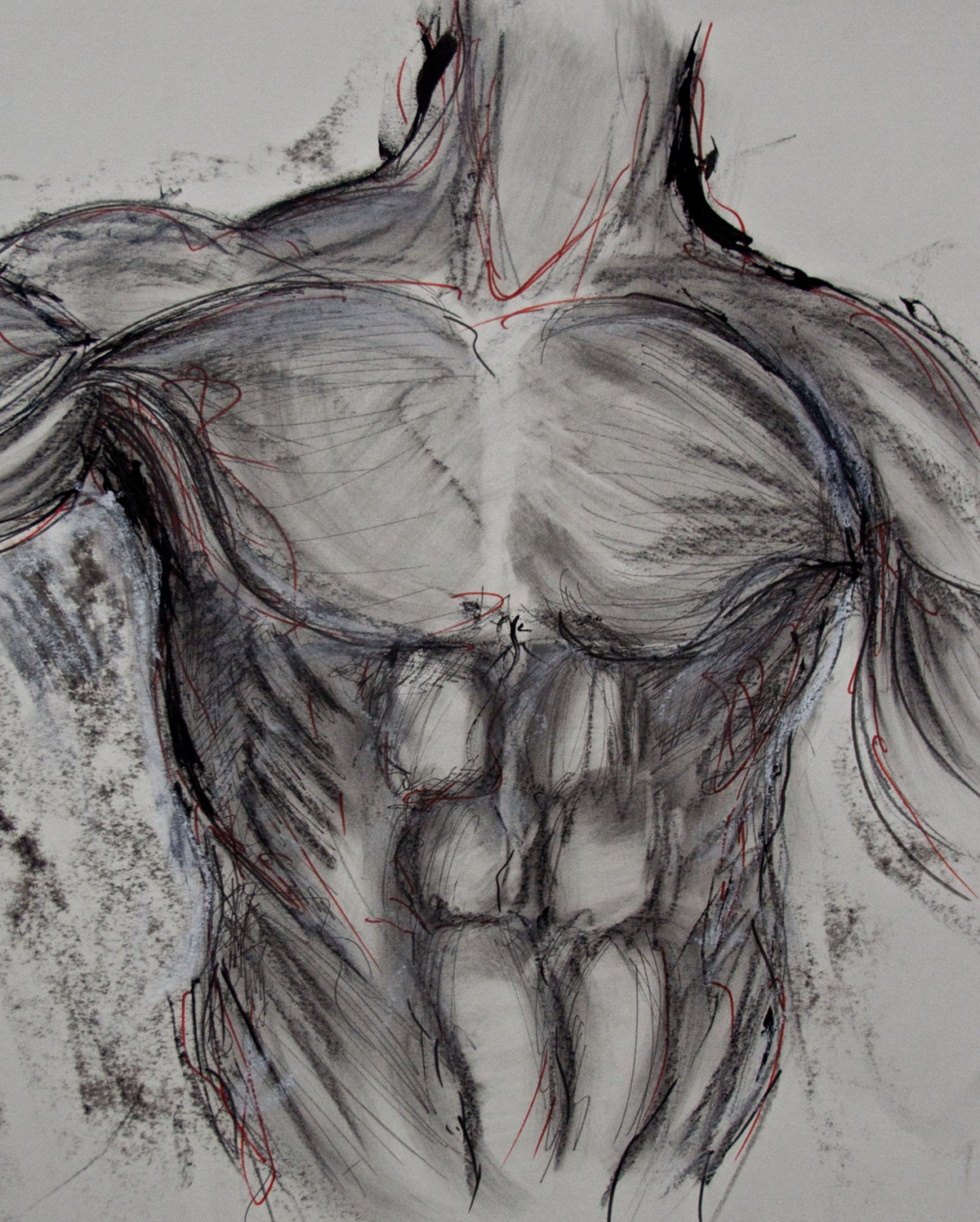 anatomy sketch mark making. muscles