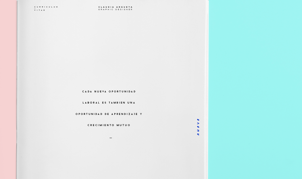 Identity Design Minimalism color pink blue curriculum CV personal project Resume