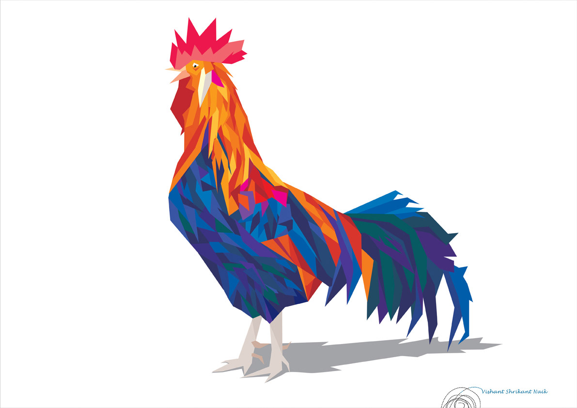 Goa  rooster  Illustration  vector