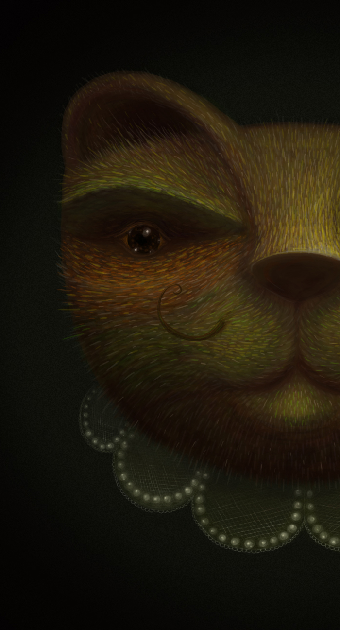 portrait digital painting Cat bird bear
