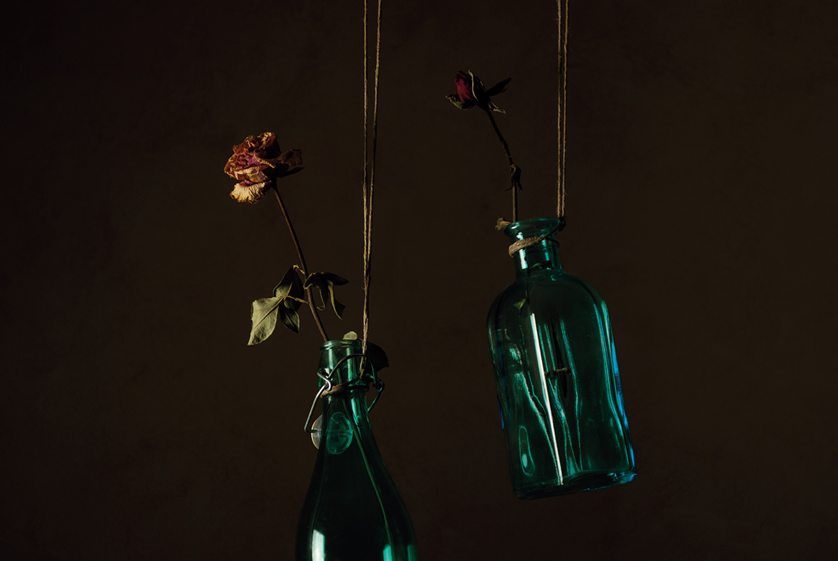 still life bottles dark dream Photography  Project Roses surrealism University