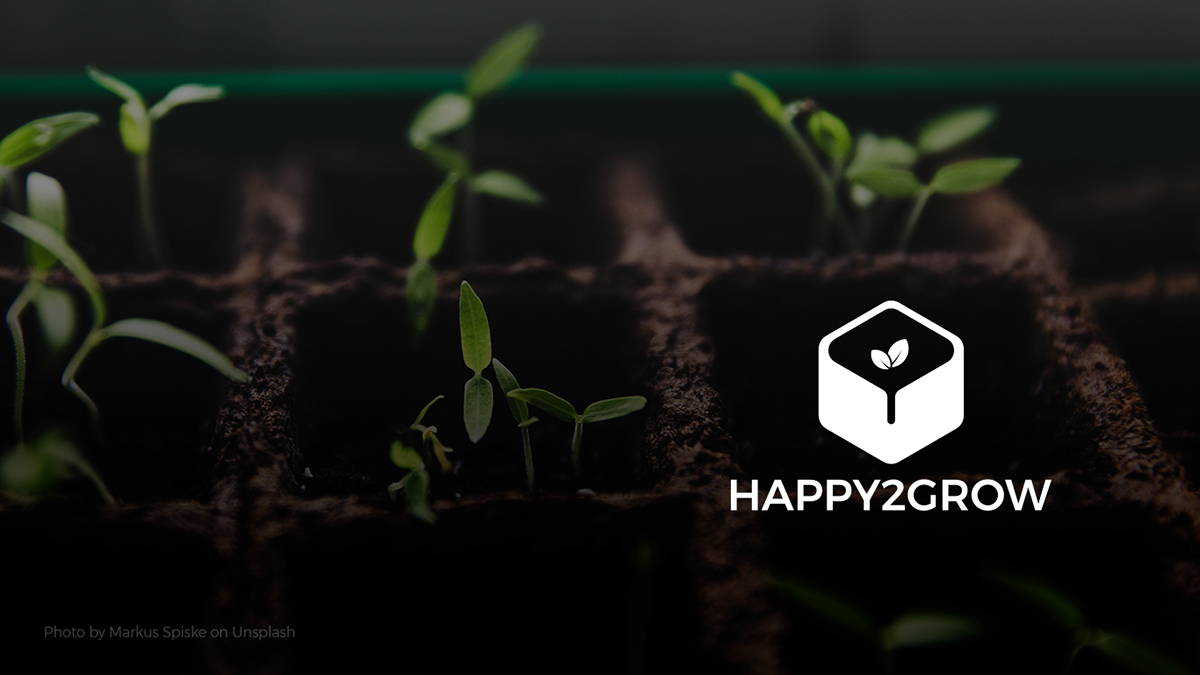 logo branding  grow happy sprout Wooden box grow bed