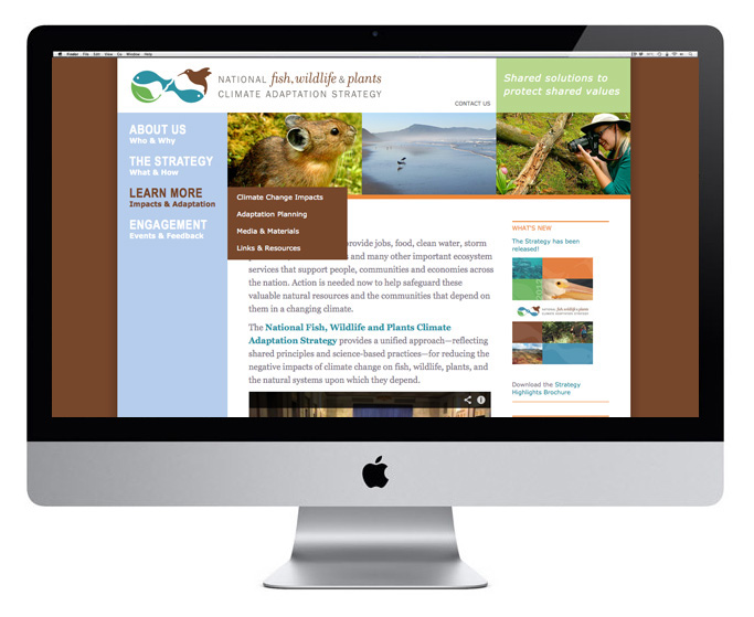 nonprofit  government  logo  website  print  brochure  conservation  climate