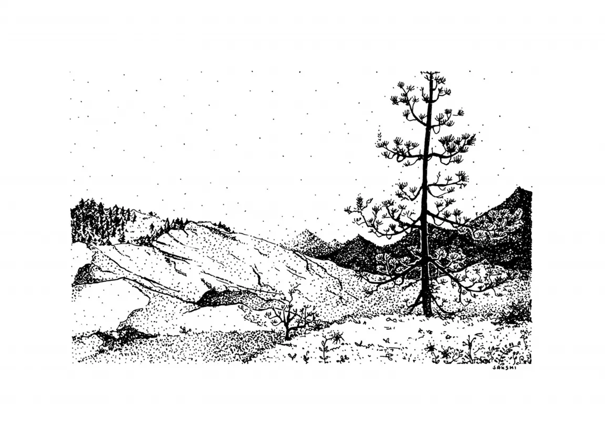 stippling Nature cactus mountains trees Isolation