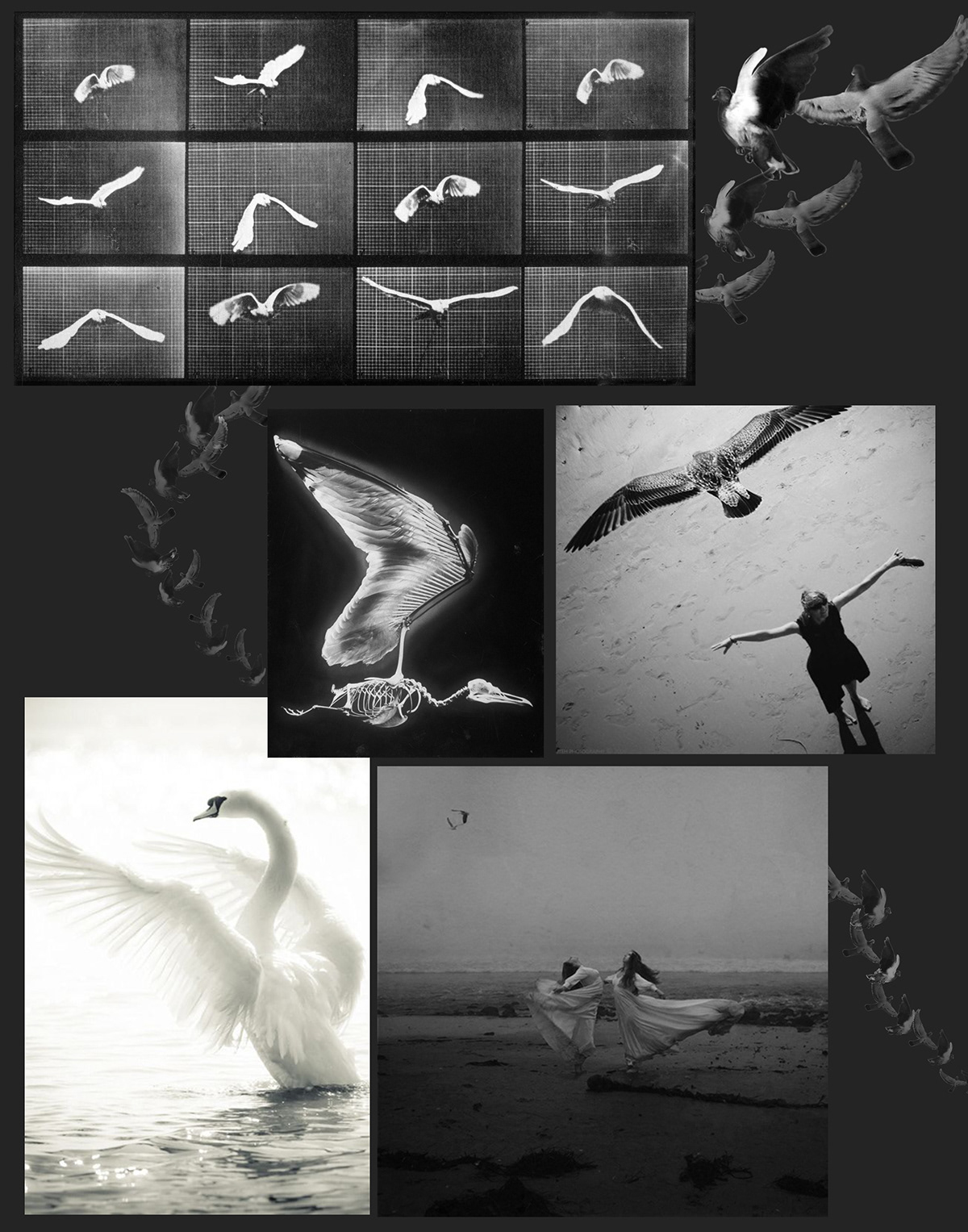 fashion illustration conceptual design fashion design Prisma Markers birds flight