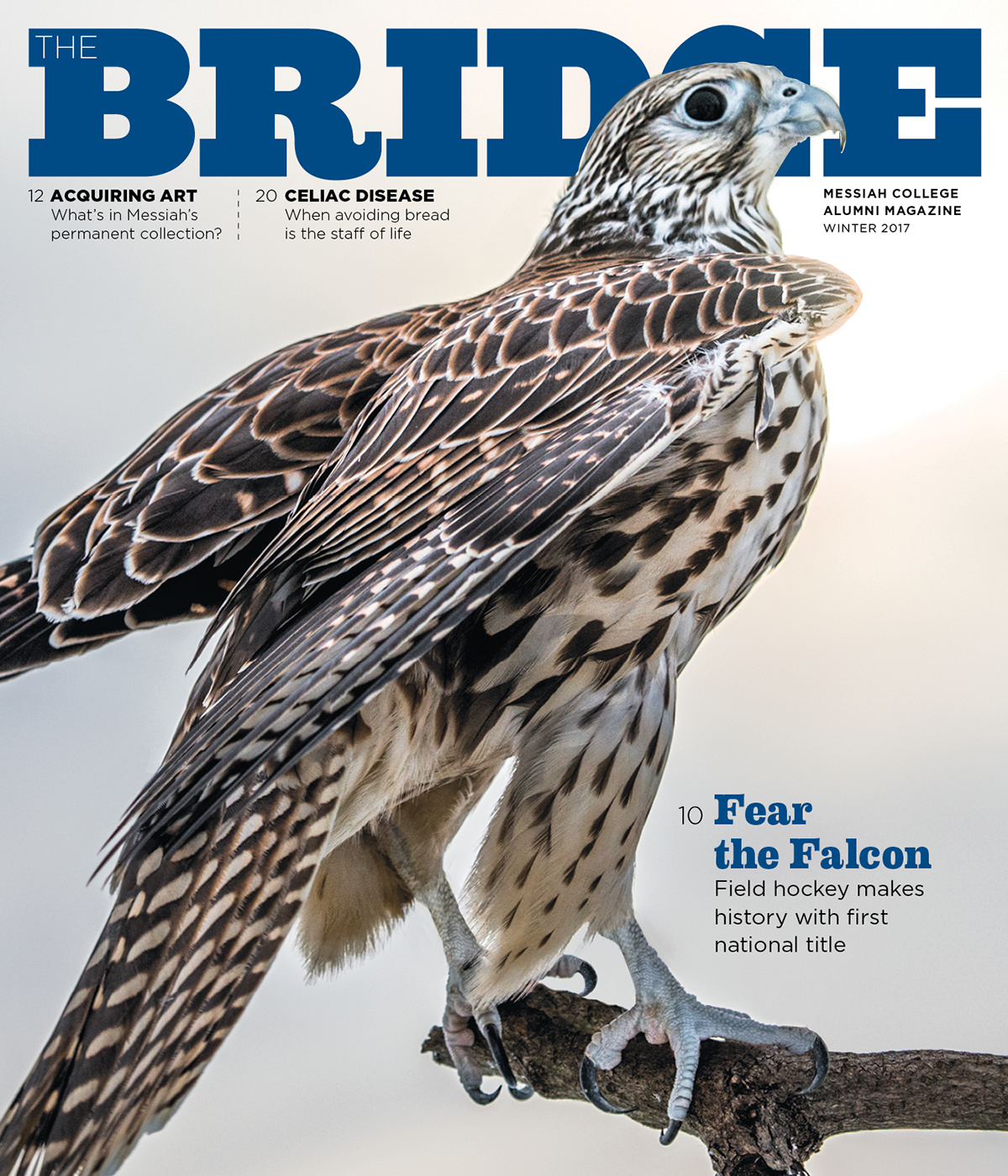 college University magazine College Magazine Magazine Cover editorial #SPD53 falcon