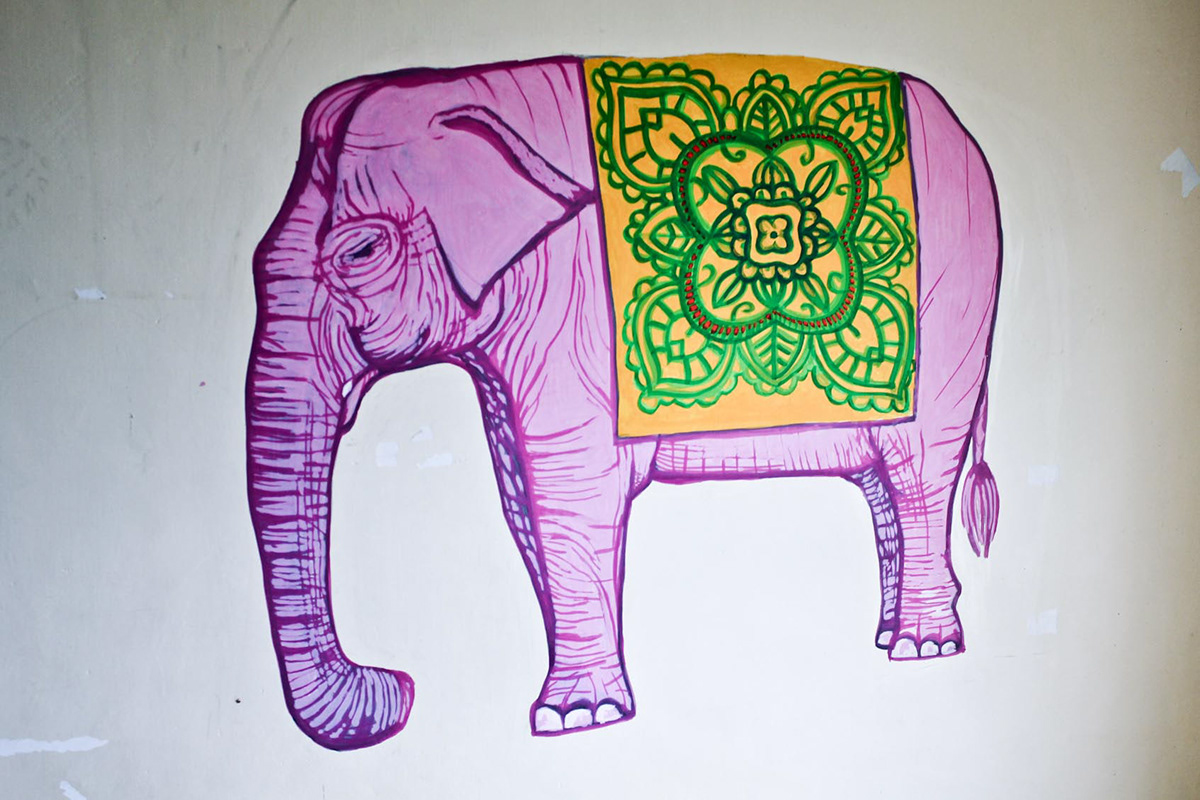 elephant India walls animals