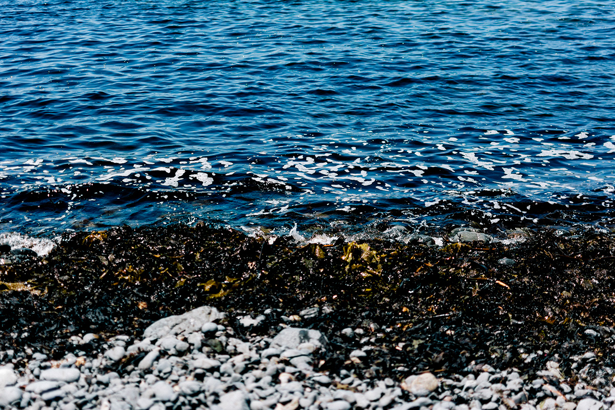 water sea dark edge deep rocks seaweed waves ripple horizon depth