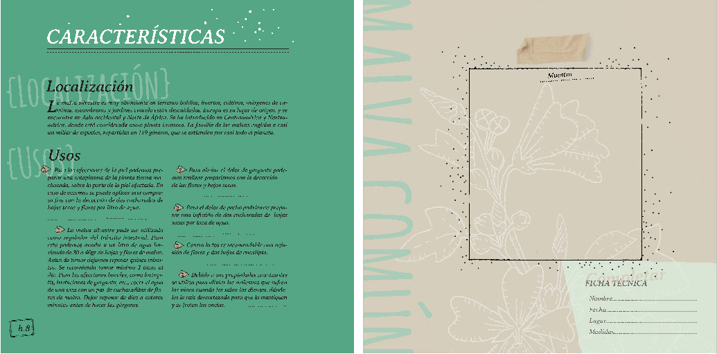 diseño editorial ilustracion herbario design