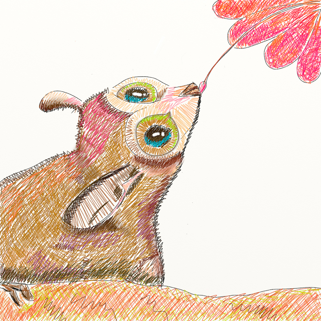 lemur ratón ilustracion artrage comic Microcebus berthae lineas lines Gabriela Corral Nature animal cuento story