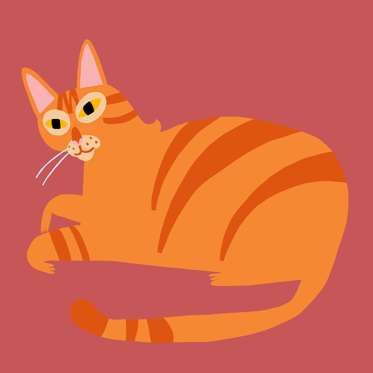 Cat animal Character digital illustration cartoon concept art portrait cat illustration
