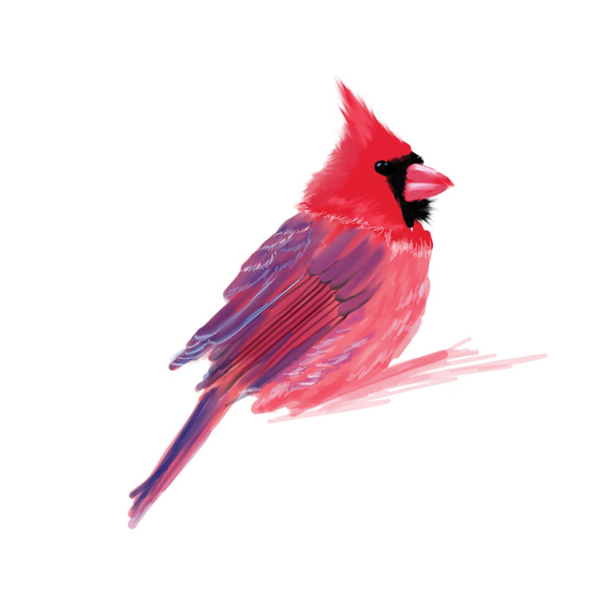 bird red digital painting