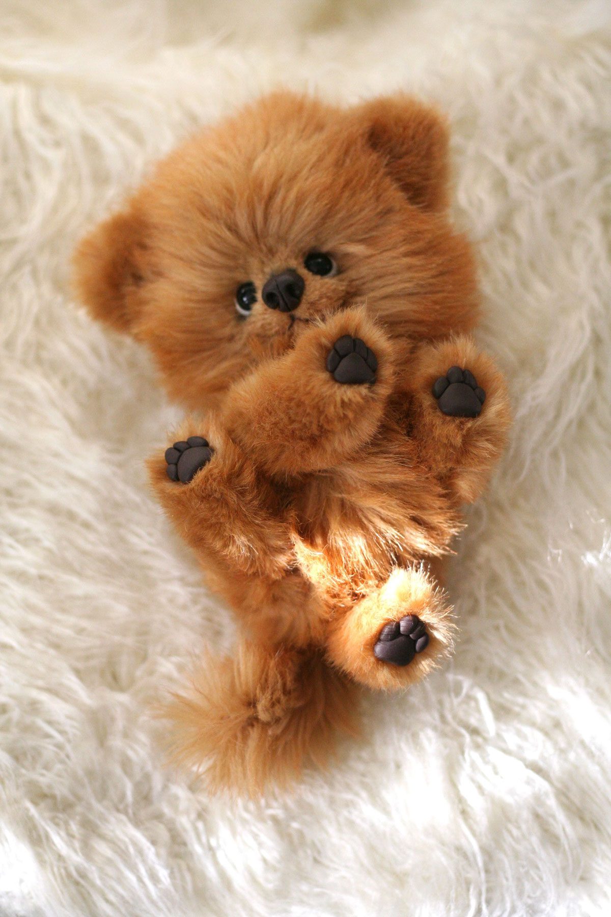 Teddy bear dog puppy Pomeranian toy realistic toy