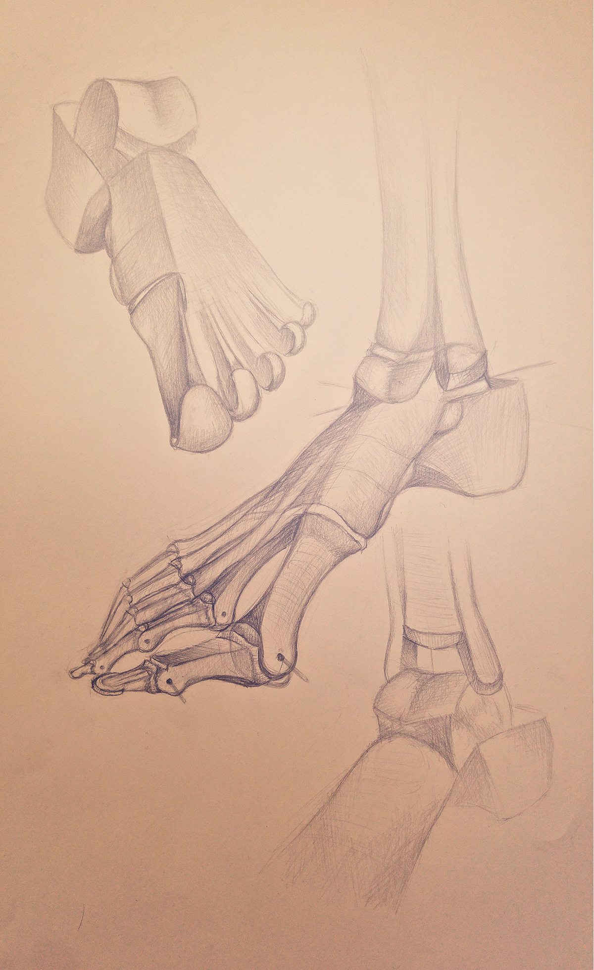 Drawing  Human Body parts sketches pencil skeleton