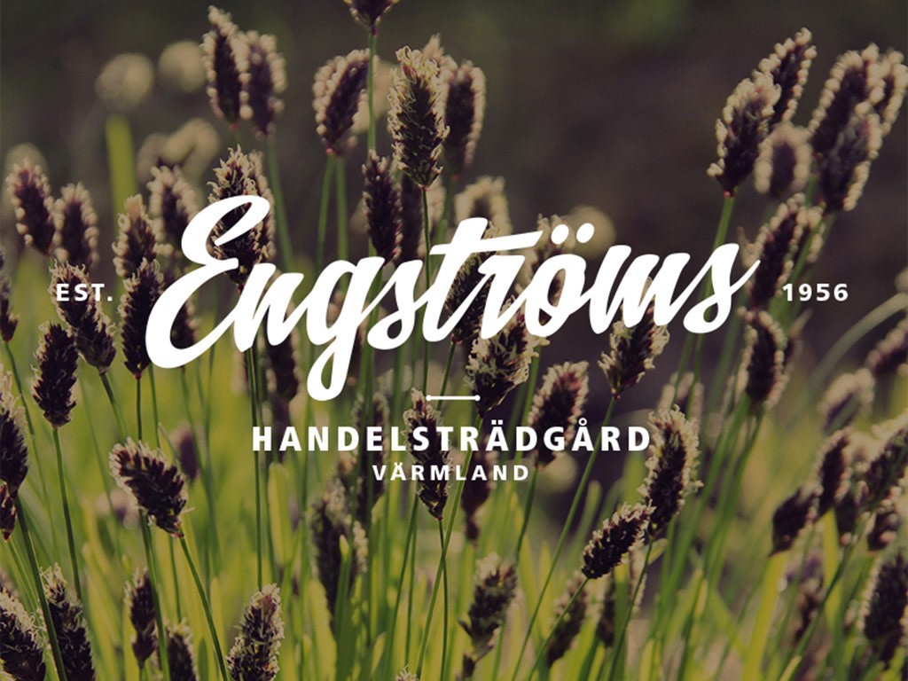 engströms ID
