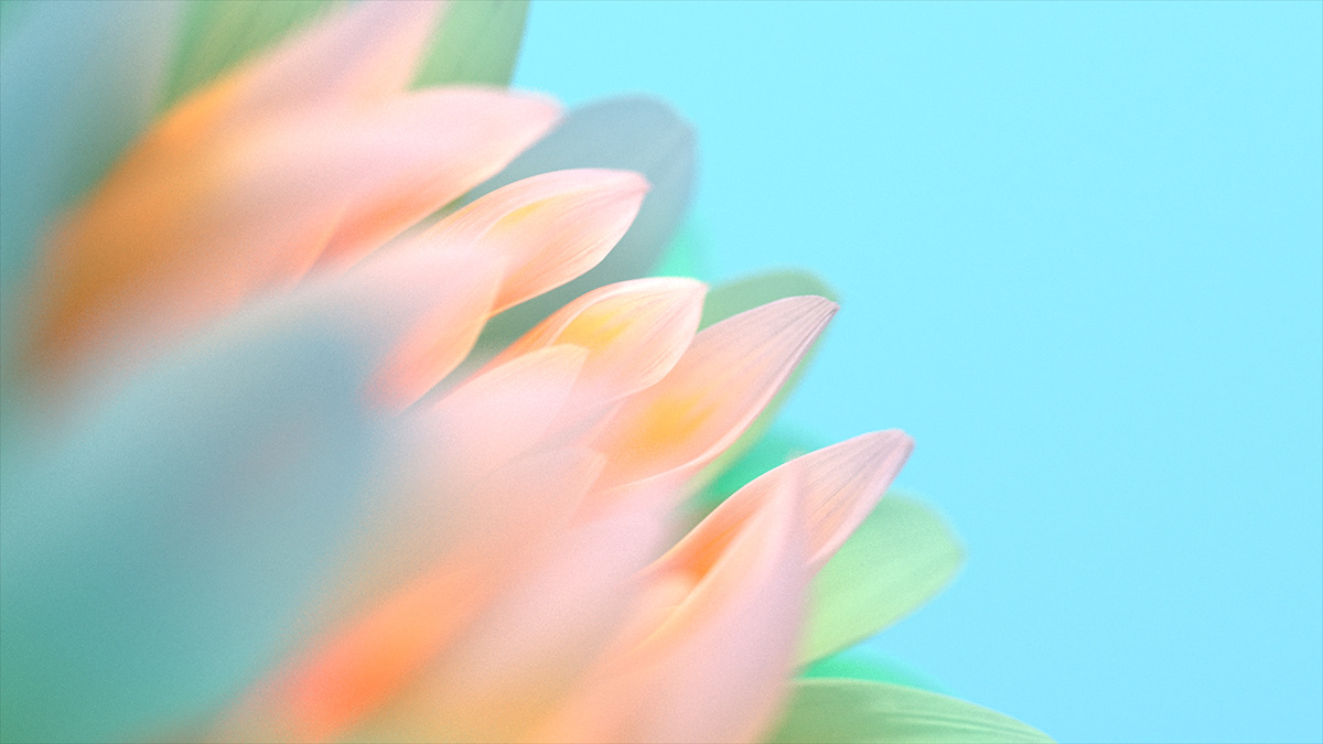 Vivo Live-Wallpapers on Behance Vivo Live-Wallpapers on Behance