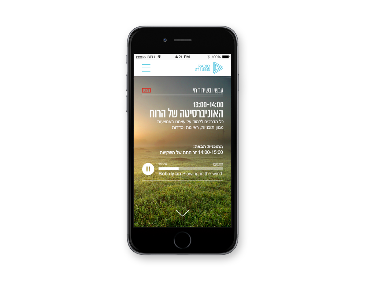Adobe Portfolio ux UI Radio Responsive mobile interaction design
