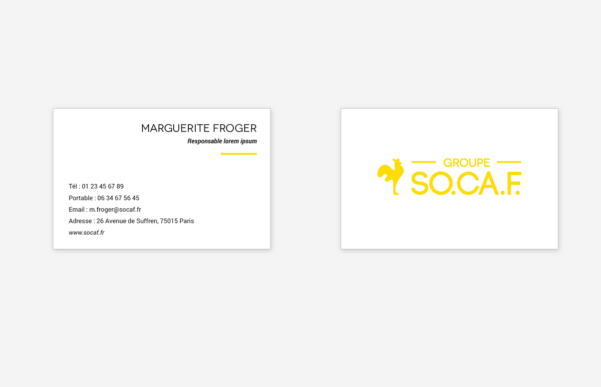branding  Brand Image Logo Design business card visual identity
