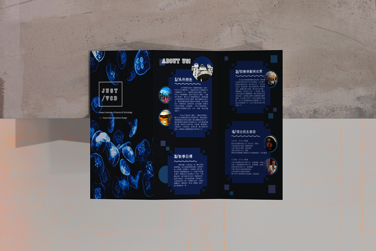 dm design graphic design  jellyfish Trifold Brochure Design typography   visual design design DM vcd Layout Design