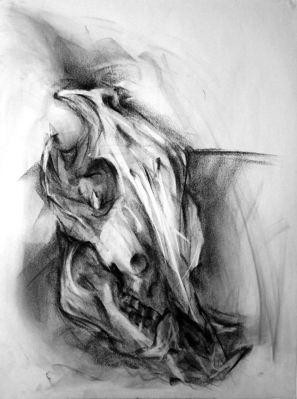 charcoal victor lara risd newsprint ink Horseshoe Crab Figure Drawing