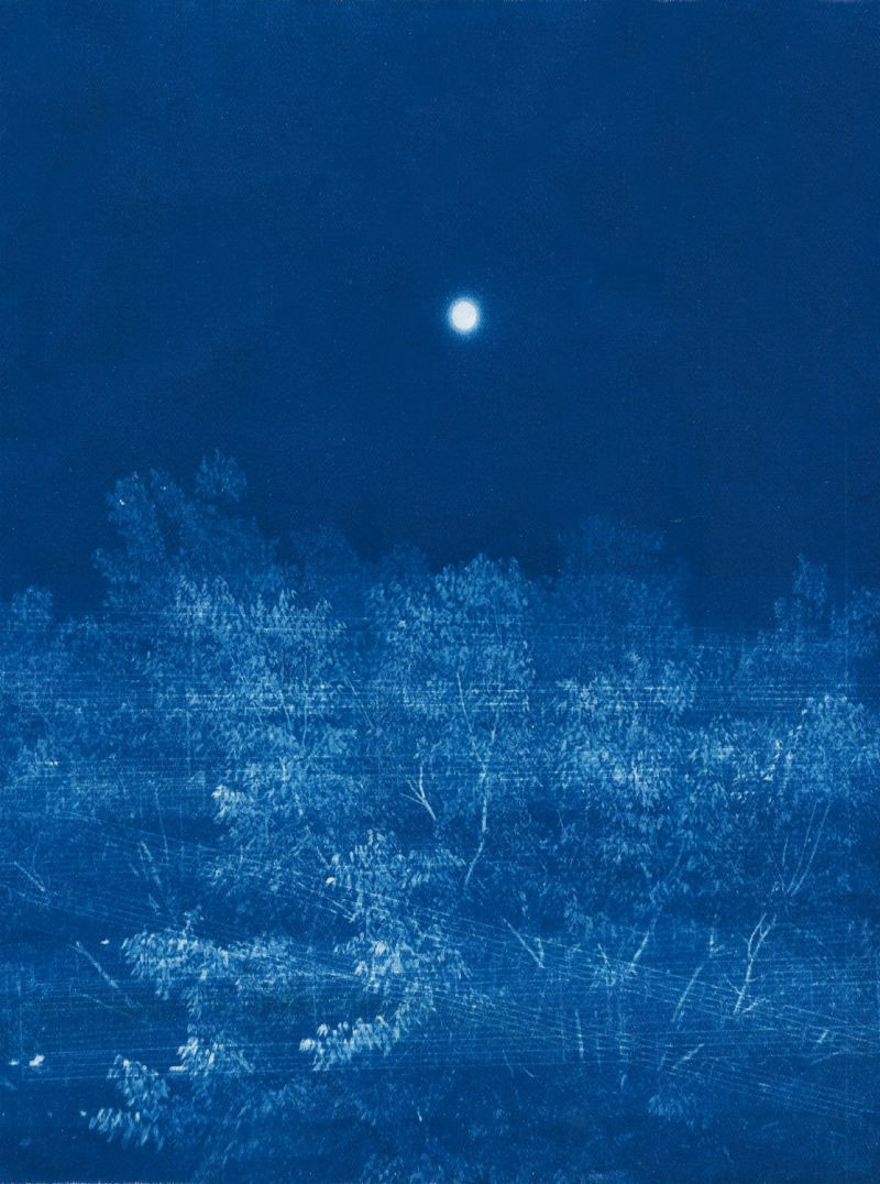 cyanotype silence solitude dream peaceful calm Blueprint moonlight Alternative Photography Nature