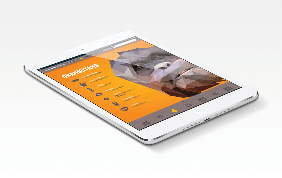 orangutans orange the orange project applications apps infographics info iPad